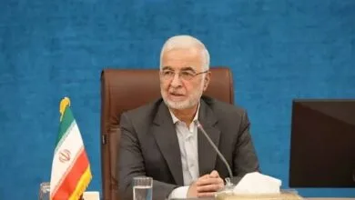 مومنی: شوراها و نهادهای محلی نقش برجسته‌ای در رضایتمندی مردم دارند