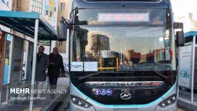 5403917.jpg