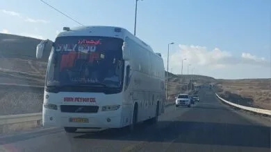 5433080.jpg