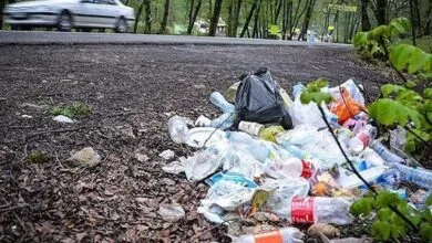 چگونه ۱۳ بدر را به درستی جشن بگیریم؟ چگونه ۱۳ بدر را به درستی جشن بگیریم؟