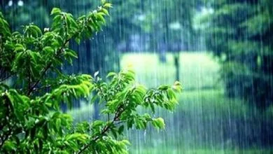 احتمال بارش باران و هوای مه آلود در اردبیل احتمال بارش باران و هوای مه آلود در اردبیل