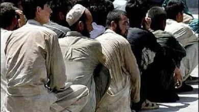 ضرورت حمایت و همکاری بیش از پیش در امور پناهندگان