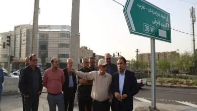 5454223.jpg