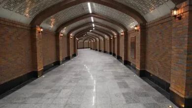 5455862.jpg