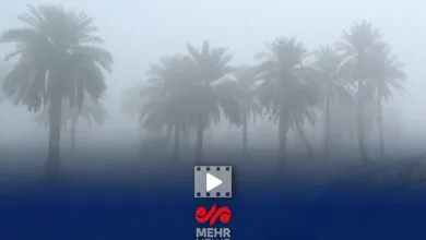 تهران اجتماعی