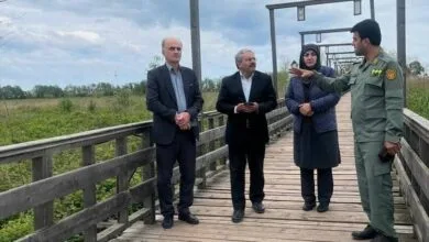 تهران اجتماعی