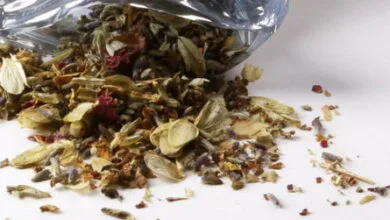 تبلیغات کاذب درباره اعتیادآور نبودن ماریجوانا/ تصادف و مرگ نتیجه مصرف این ماده تبلیغات کاذب درباره اعتیادآور نبودن ماریجوانا/ تصادف و مرگ نتیجه مصرف این ماده
