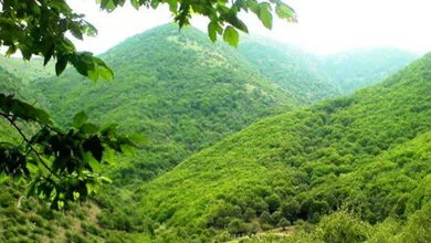 تهران اجتماعی