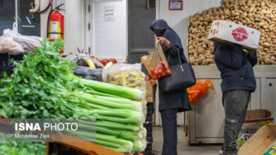 تعطیلی تمامی میادین و بازارهای میوه و تره بار تهران در روز ۱۳ فروردین ماه
