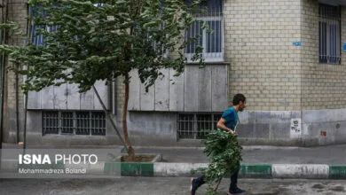 هشدار وزش باد شدید در روز طبیعت در تهران