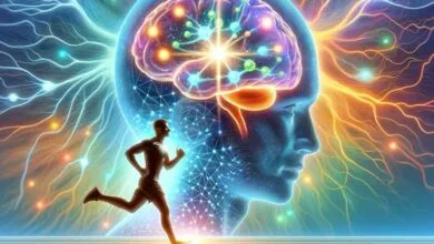 ویدیو/ ورزش چه نقشی در سلامت مغز ایفا می‌کند؟