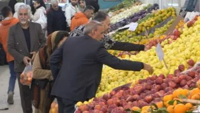 توزیع ۱۰ هزار و ۲۰۶ تن میوه در نوروز و ماه رمضان توزیع ۱۰ هزار و ۲۰۶ تن میوه در نوروز و ماه رمضان
