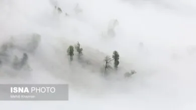 تهران اجتماعی