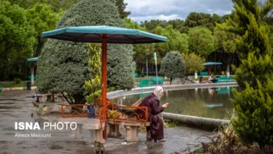 حوالی بلوار کشاورز – تهران