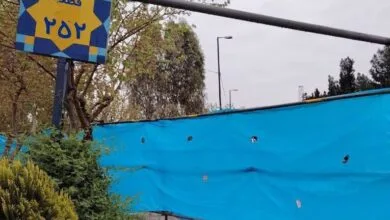 سرانجام ماجرای «گنج‌یابی در بهشت زهرا» و واکنش رسمی میراث فرهنگی تهران