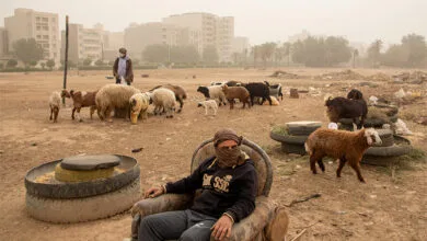 تهران اجتماعی