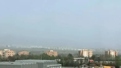 تهران اجتماعی
