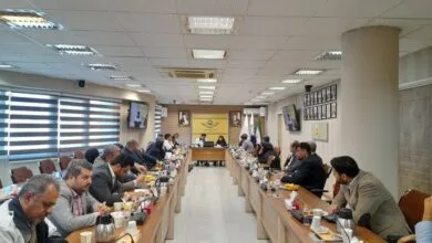 تاکسیرانان، پیشگامان مقابله با بحران در تهران / آغاز همکاری مشترک دو سازمان شهری