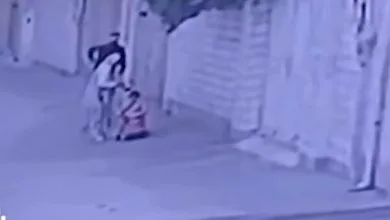 6133841.jpg