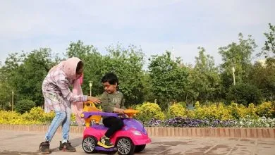 پیرهادی: دو محله تهران همچنان فاقد بوستان هستند