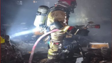 6173690.jpg