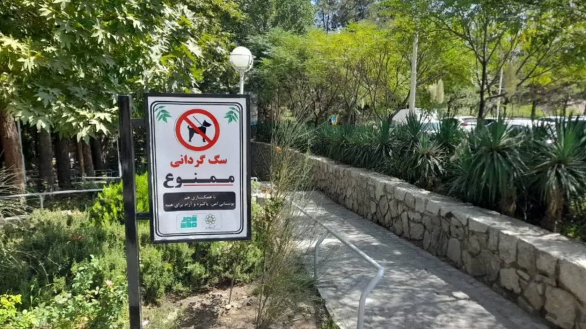 تهران اجتماعی